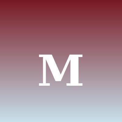 Menezes Concept Logo